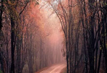 煮酒论史天涯论坛：那些年，我们没聊完的历史话题！