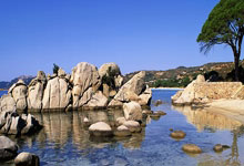 杨过爱恶作剧 郭襄自顾不暇